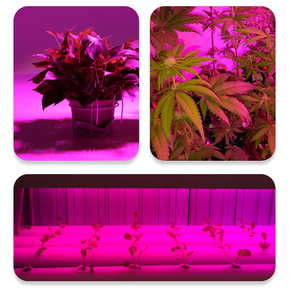 Plant Growth Bulb LED 9W Supplementary Light